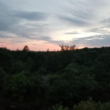 Inn On The Intervale Judique Екстериор снимка