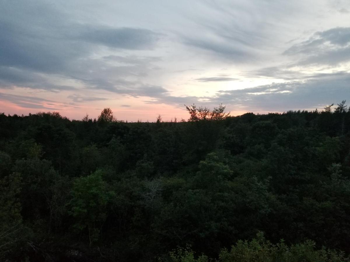 Inn On The Intervale Judique Екстериор снимка